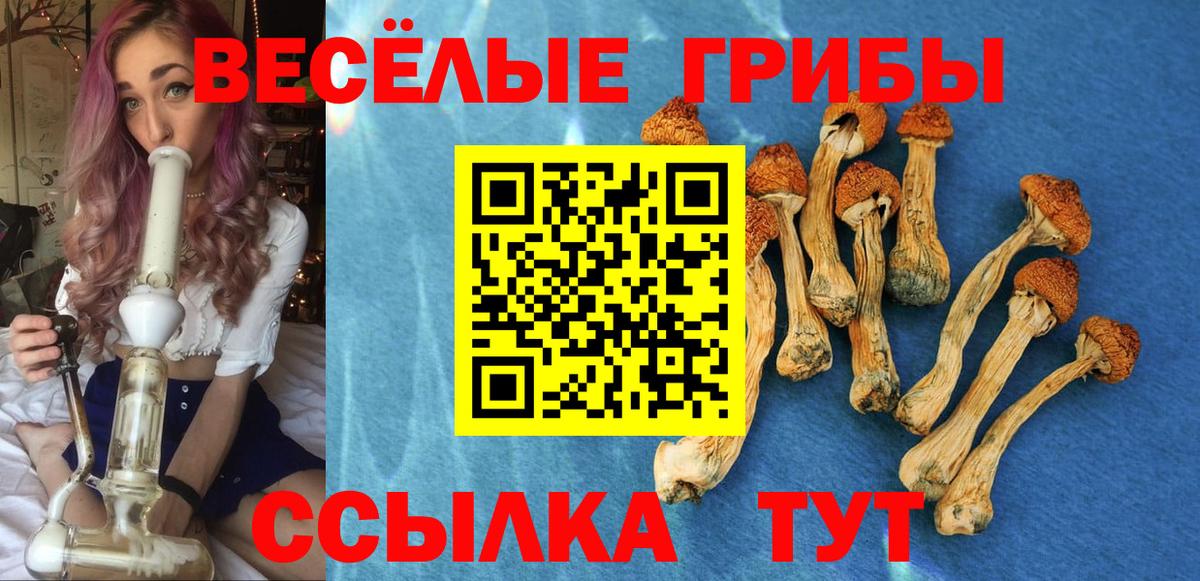 Псилоцибиновые грибы MAGIC MUSHROOMS  Вход с VPN  Знаменск 