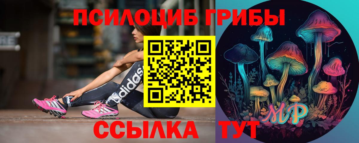 Псилоцибиновые грибы MAGIC MUSHROOMS Знаменск